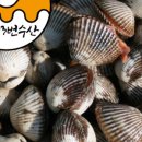 벌교꼬막포차 이미지