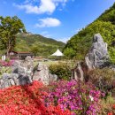 가로수길정원하우스(펜션) | 상주펜션 추천 속리산펜션 문장대힐링하우스 가족여행 숙소 후기