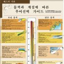 화씨낚시 이미지