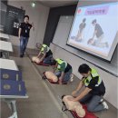 스포츠파크 씨름연습장 | 소통과 건강, 대구파크골프스크린으로 도심에서 만나는 진짜 파크골프 연습장 이야기