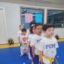 새현대유치원 | 유아기에 태권도를 배우면 좋은 이유 5가지 - 부천 중동 경희대 박사 현대 태권도장