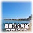 임랑해수욕장1 | 부산 기장 물놀이 명소, 아이와 함께한 임랑해수욕장 후기
