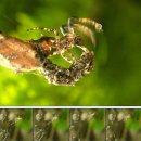 서산부춘중학교 이미지