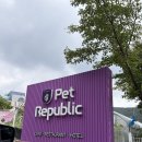pet132더3281 | 양평 펫리퍼블릭 레스토랑, 카페, 운동장 내돈내산 이용 후기 (반려동물 동반 여행 추천)