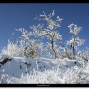상당구청 체육관 이미지