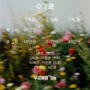 들꽃이 있는집 | 청주 들꽃요가x 솔롱고스페이스 핸드스탠드 워크숍 후기