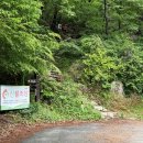 천진암 | 경남 김해 신어산 등린이 후기(은하사, 천진암, 헬기장, 거북바위, 소망봉, 출렁다리, 철쭉군락, 철쭉...