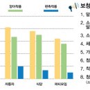 양이양이 이미지