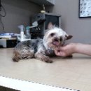 가좌종합동물병원 이미지