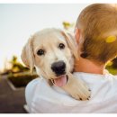 더바름동물병원 이미지