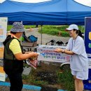 세종신문사