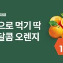 이마트 사상점 네이버블로그