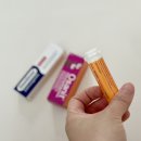 비고리조트 6 이미지