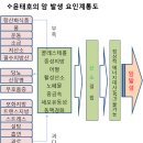 암은 원인을 알고 원리로 풀어야한다 이미지