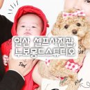 자연 애개 | 일산셀프스튜디오, 아기·강아지 가족사진 후기 누보몽드 일산호수공원점