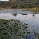 태평골 낚시가든 이미지