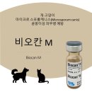 배방동물약국 이미지