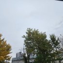 크린카센타 | 발수코팅 와이퍼 장착 후기와 제조사별 사이즈 정리