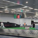 510 | 제주항공 국내선 제주-부산/김해 7C510 탑승후기 (B737-800)
