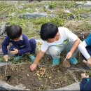 큰빛자연생태어린이집 이미지