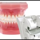 거목치과기공소 이미지