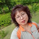 하늘아리 이미지