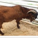 김상은농장 이미지