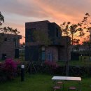 다모리네 이미지