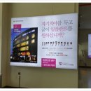 나비플란트치과의원 네이버블로그