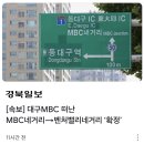 벤처벨리네거리 이미지