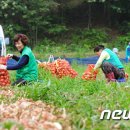 김대홍축산 이미지