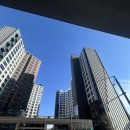 서초대로19길 22 이미지