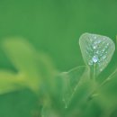 유퍼스트 이미지