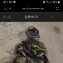 산외 강현낚시터 이미지