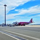 일본 오사카여행 피치항공 김포공항 국제선 출발 위치 카운터 탑승후기