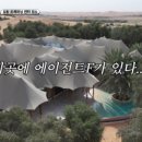 로얄 오락실 이미지