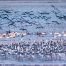 주남저수지 이미지