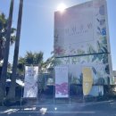 너와 바람개비 이미지