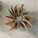 빛(꽃)의정원 | 라부부 광탈하고 스컬판다 빛의정원 후기_ 안개,이슬,꽃,티크 키링 꾸미기