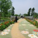 가평흑염소농장 이미지