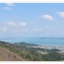 보성야생화 이미지