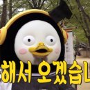 국일사 이미지