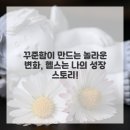 청춘헬스 이미지