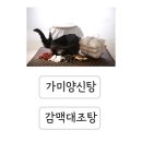 양신탕 이미지