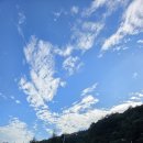 오동마을~무룡고개 | (47/100) 장안산 (장수) 26년 17차 / 산림청 #70 / 덕산계곡 한번 더