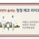비산중교 네이버블로그