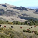 정경목장 이미지