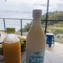 강변마을여자경로당 | 5월 남해 여자 혼자 여행｜다랭이마을, 시골할매막걸리, 남해창고 그리고 호구선생까지🌊