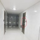 하단동101 이미지