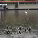 도시어부낚시 Daum카페